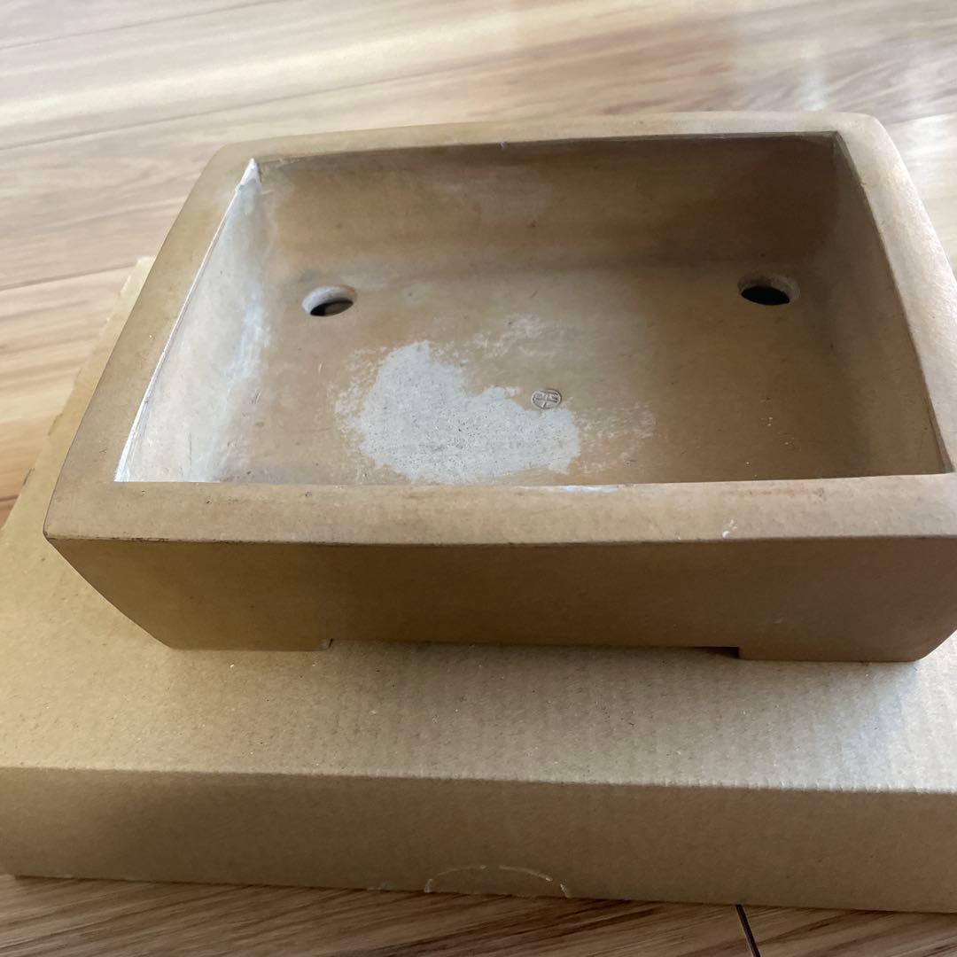 盆栽鉢　植木鉢　落款印　長方形　大きめ　シンプル　山野草