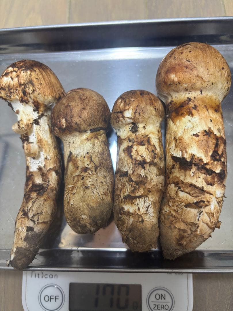 岩手県産マツタケ170g