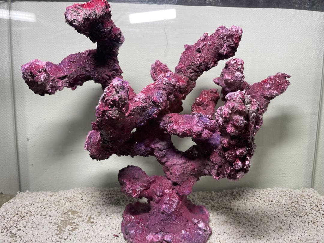 現物在庫SALE‼︎人工ライブロック　THR03 アク抜き済み安心塗料使用