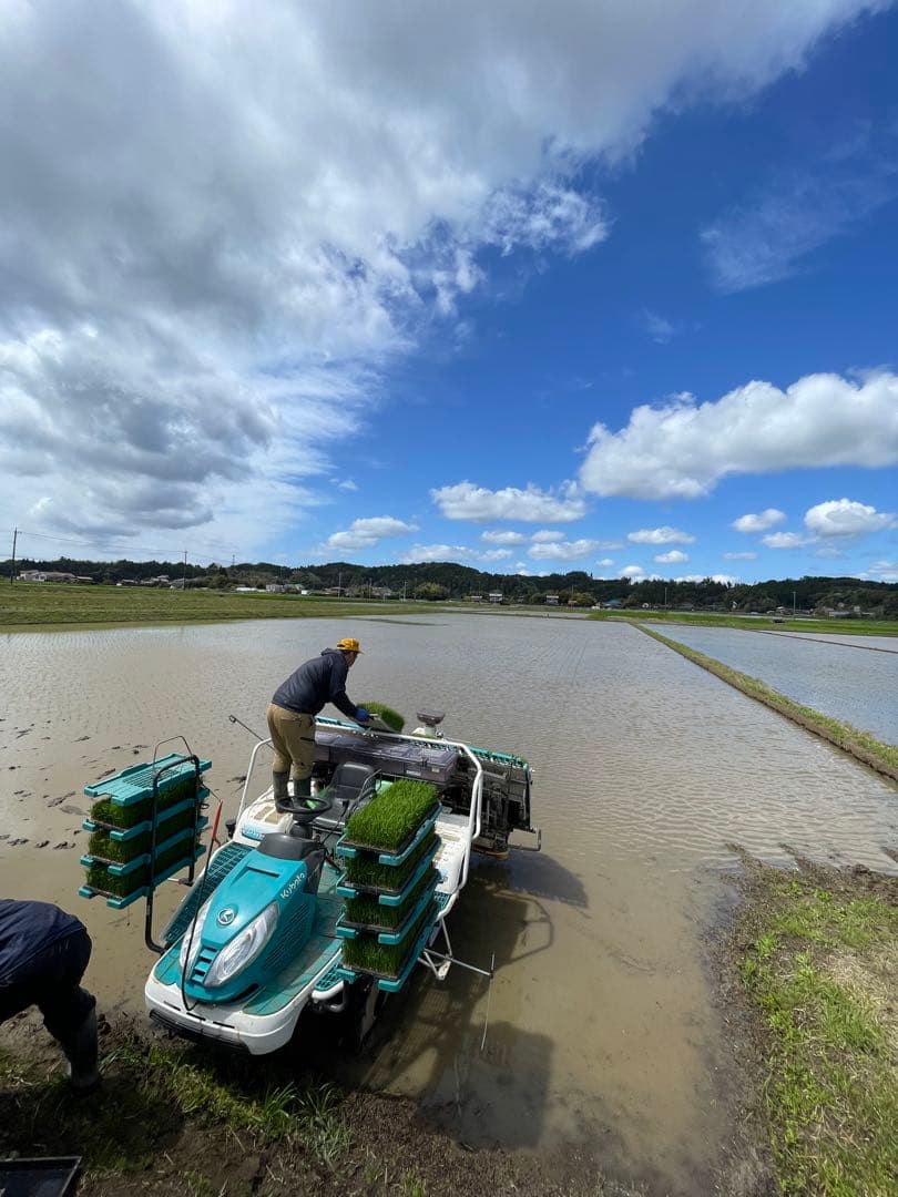 ♡最終♡令和7年千葉県いすみ市産コシヒカリ 20kg白米　無洗米　天皇献上米