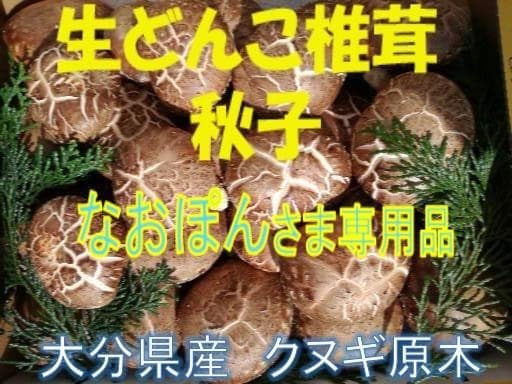 なおぽんさまご予約専用 大分県特産 生どんこ椎茸「秋子」ダブル 2nd