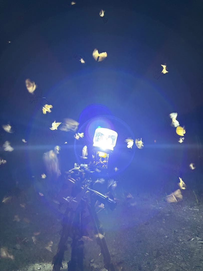 灯火採集 ライトトラップ HID 100w仕様 紫外線放出加工済