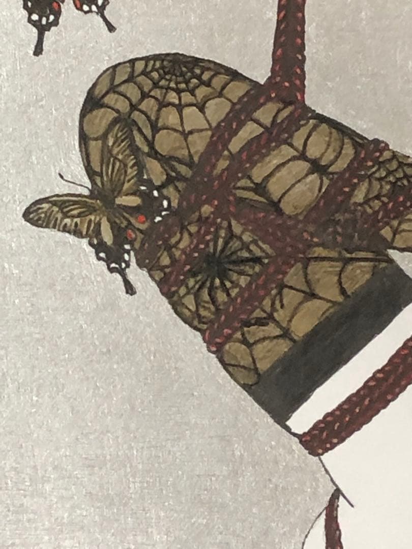 緊縛天使　蜘蛛ノ巣　Bondage angel Spider's Web