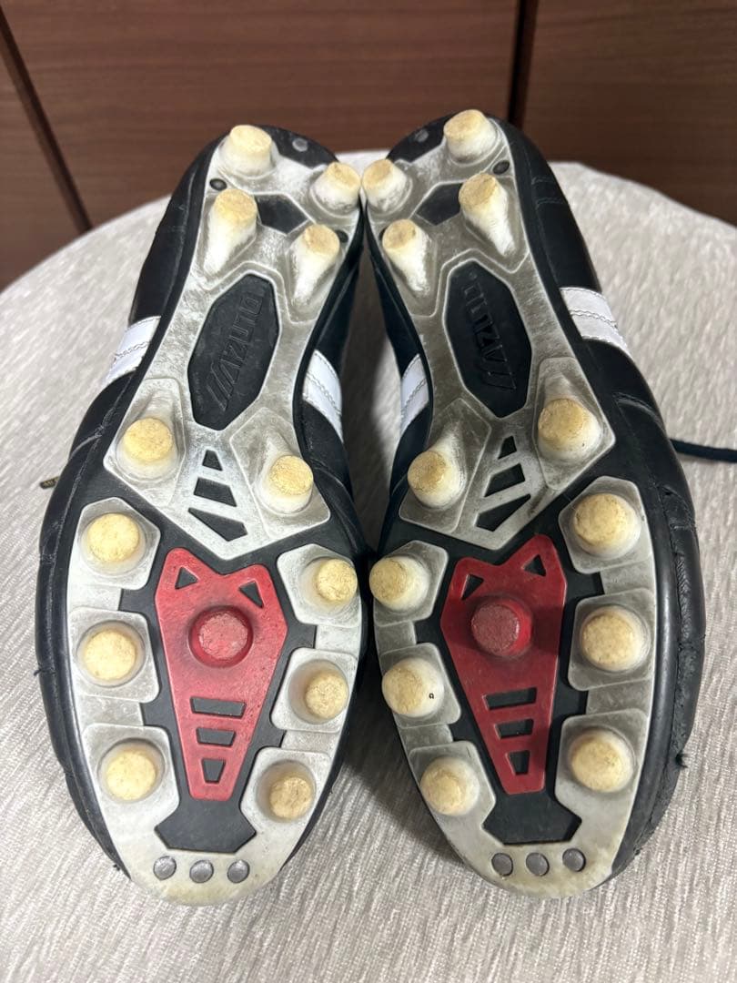 モレリア2JAPANクロスステッチ26cm