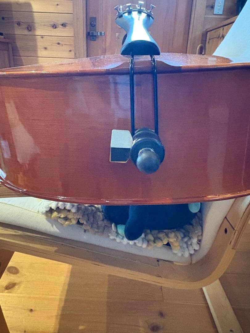 入門者向けチェロ セット　工房、制作年不明