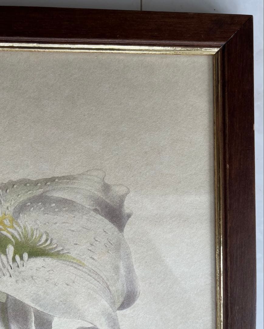 百合の絵画 ゴールド入り木製フレーム　イタリアFIORI製