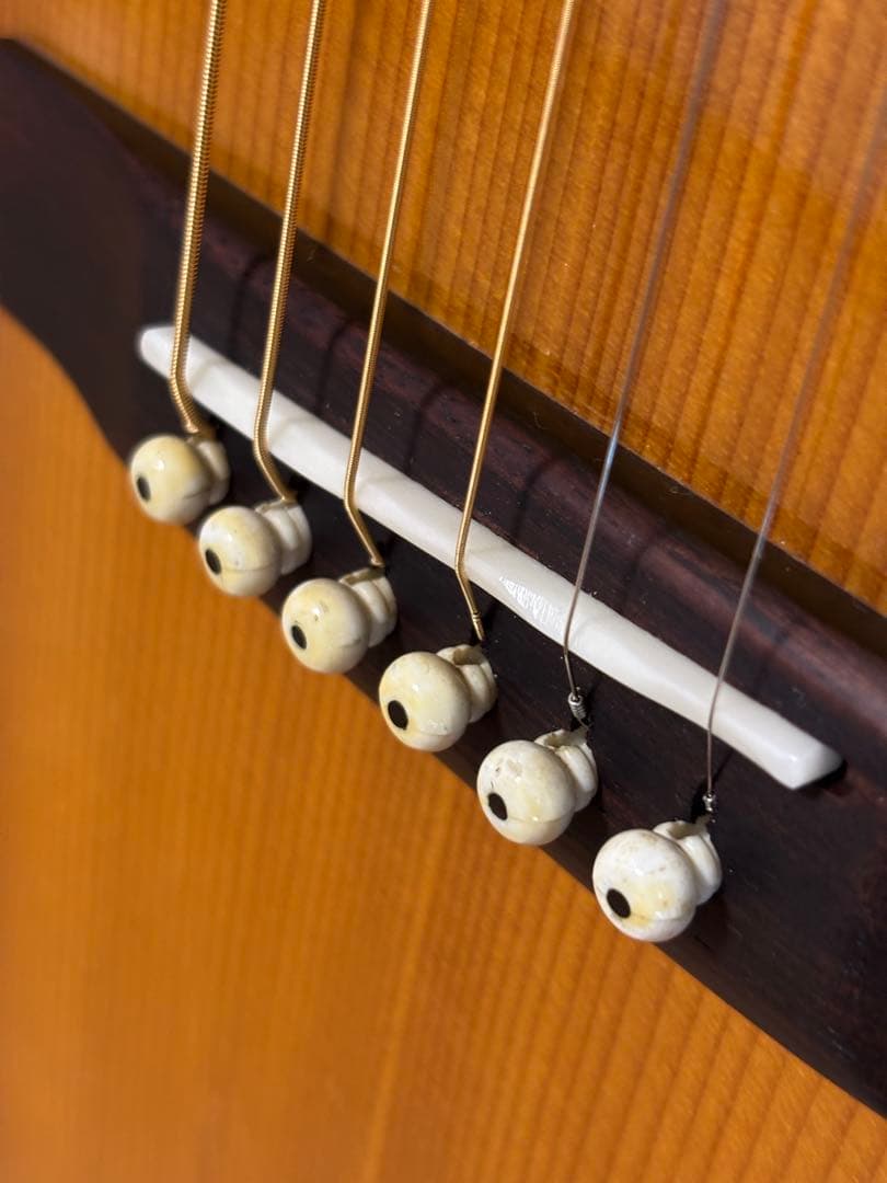 初心者、学生、女性の方に最適❗️Morris モーリス　FD-13アコギ 調整済‼️