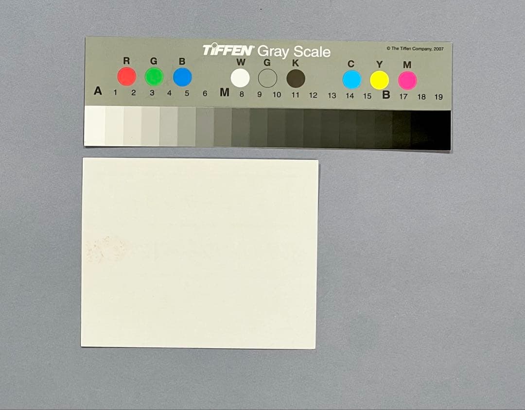 Fujiko Hemming真作保証フジコ・ヘミングFuzjko Hemming