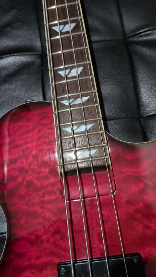 BURNY FERNANDES LSB-135 エレキベース LSB