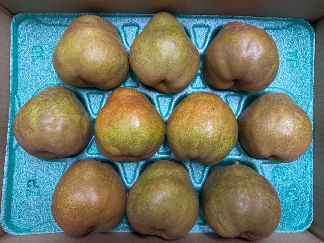 ヨッシー様　ご確認用