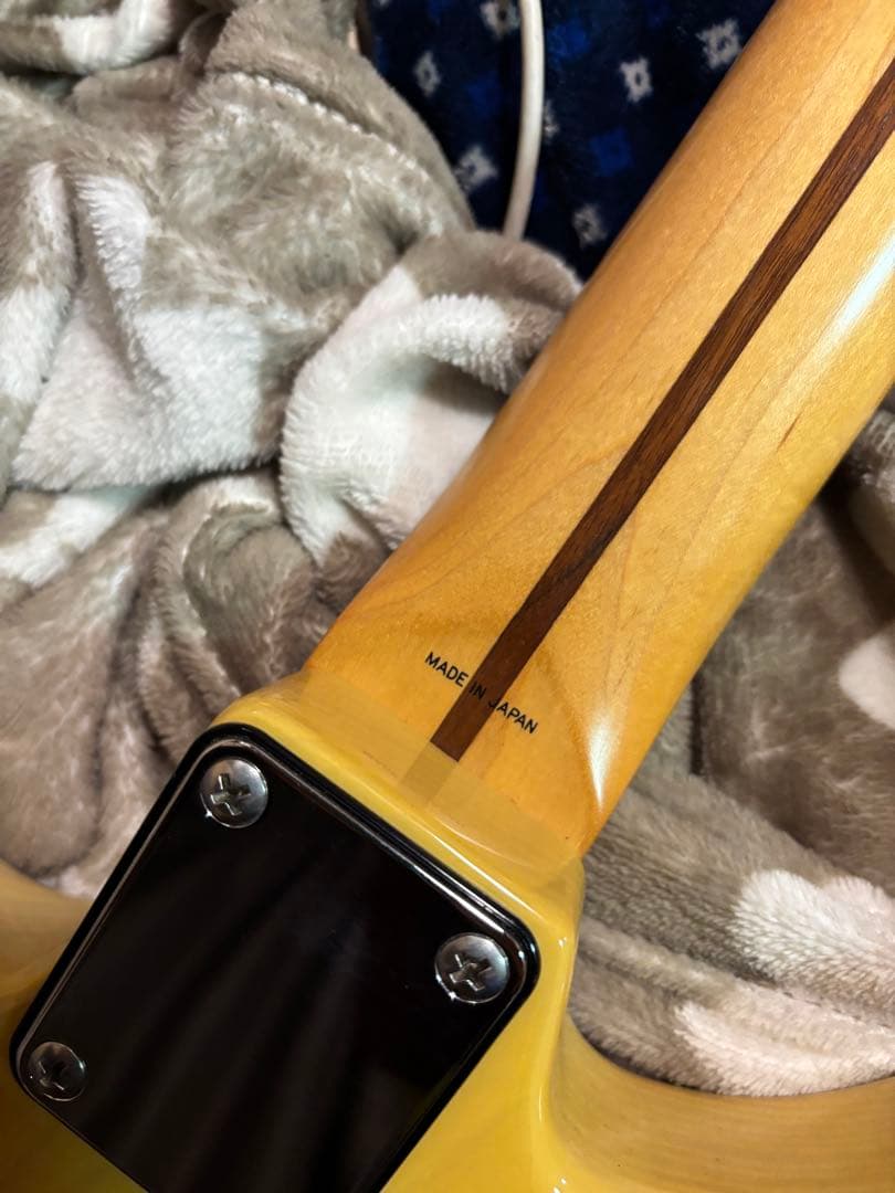 フジゲン Anboy エレキギター