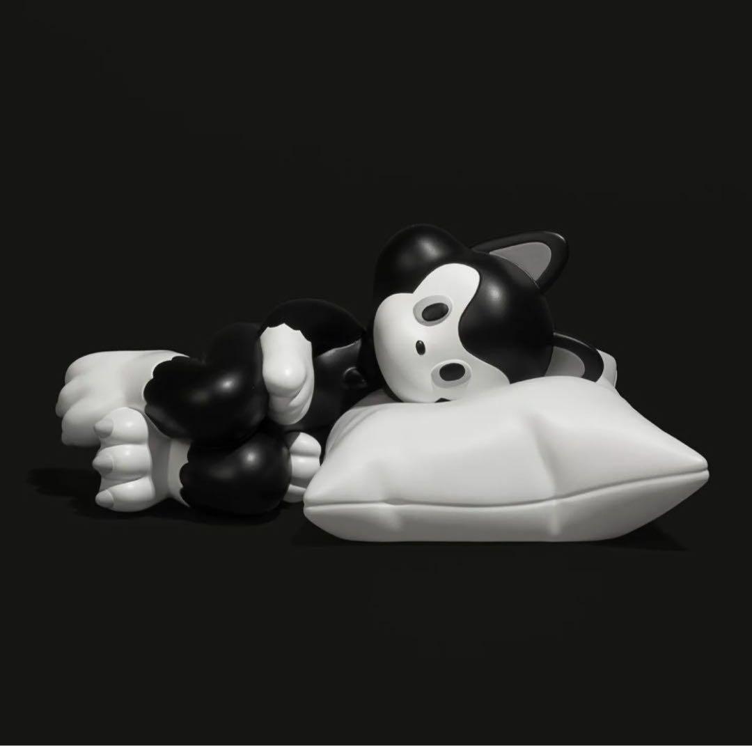 TIDE / Pillow IDE TATSUHIRO イデタツヒロ