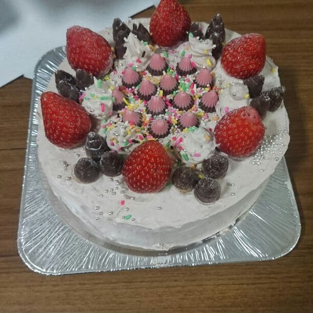 模型、カラオケ用TV