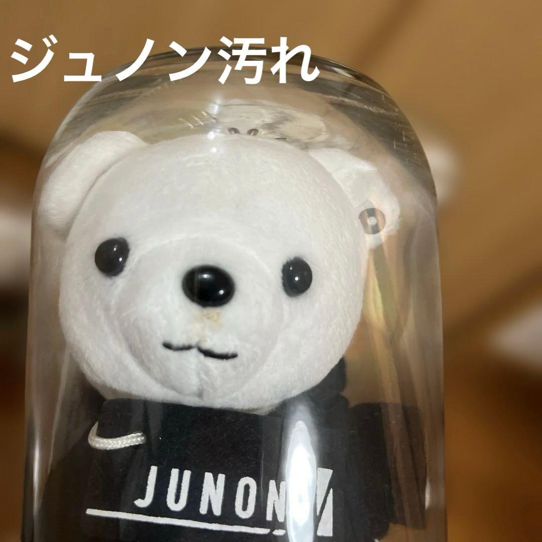 引越し日迫ってきているため値下げ早め中！BE:FIRST くま　7体セット