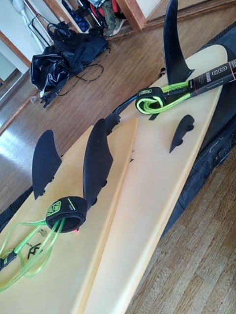 FIREWIREファイヤーワイヤー♪フィッシュ6 &ロング9♪69な大人set♪