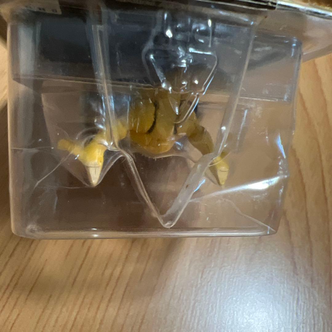 激レア　未開封　ポケモン　モンコレ　ケーシィ　黒パッケージ063