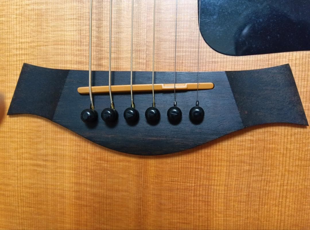 Taylor 114ce ／エレアコ ／ Gig Bag Case付