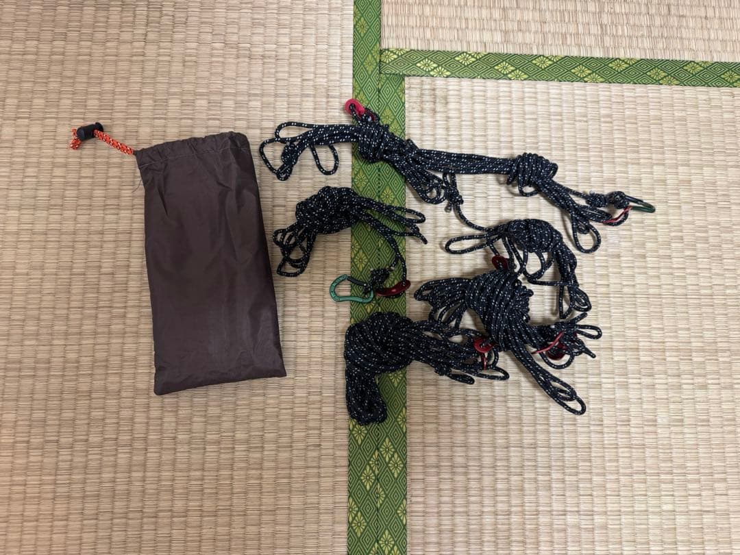 大炎幕FC の二股ポール