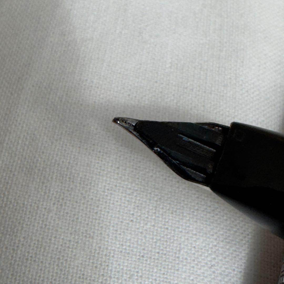 レザーケース・インク付き プラチナ Ptペン先 万年筆 シルバー silver