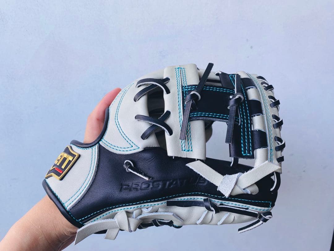 【最高級】プロステイタス　硬式オーダーグラブ