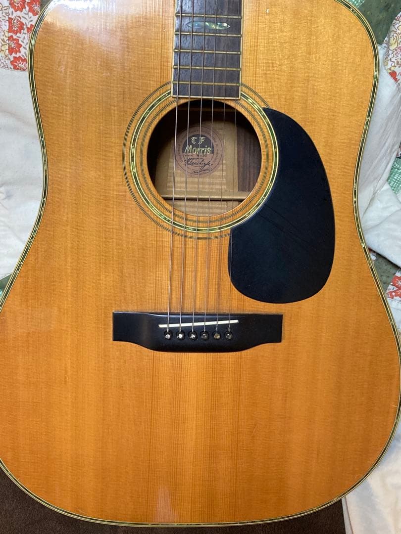 【nori】★Morris W50 アコースティックギター