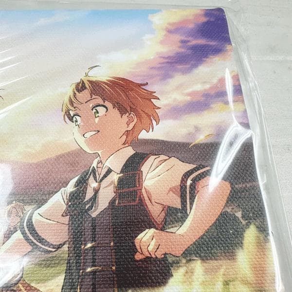 公*o様 未使用・長期保管　無職転生～異世界行ったら本気だす～　キャンパスアート