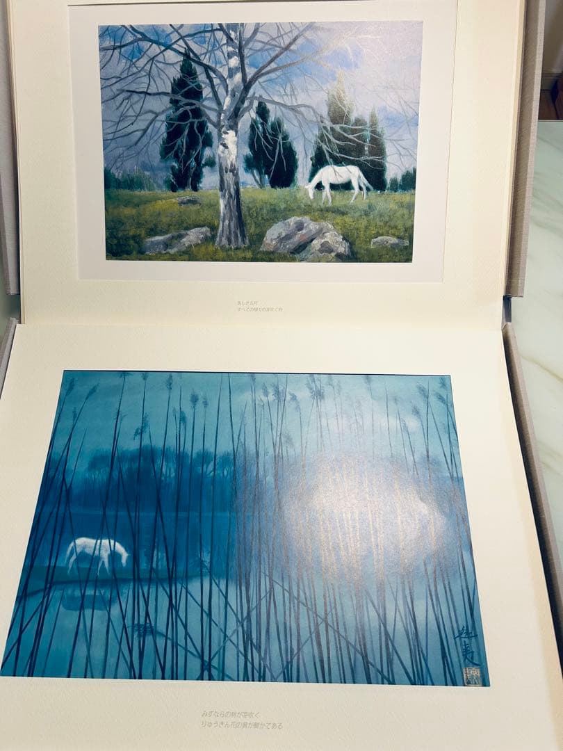 東山魁夷　白馬幻想　限定版　日本経済新聞社