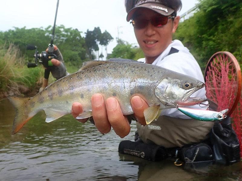 【Fishman/フィッシュマン】 Beams LOWER 6.2L /*