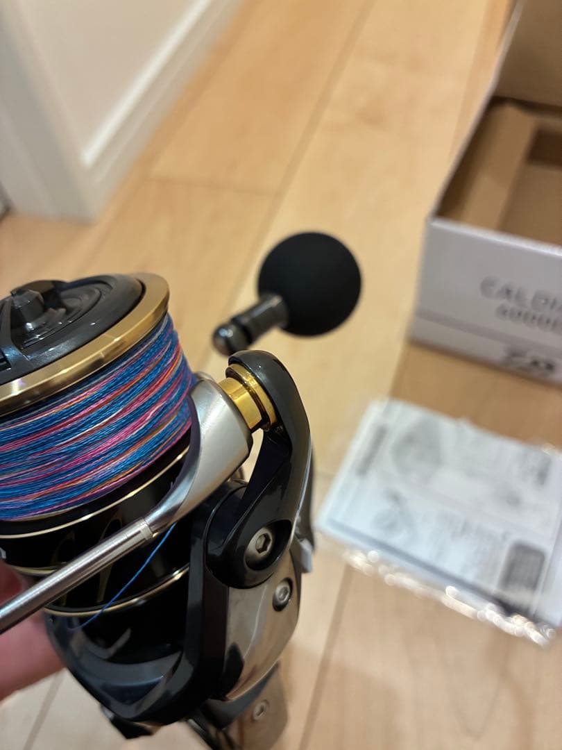 22カルディアsw 6000D-H