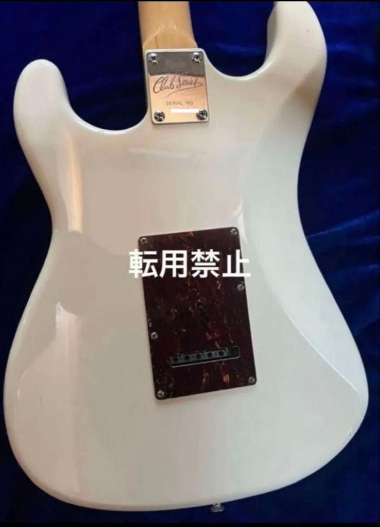 【Burns】Cobraエレキギター