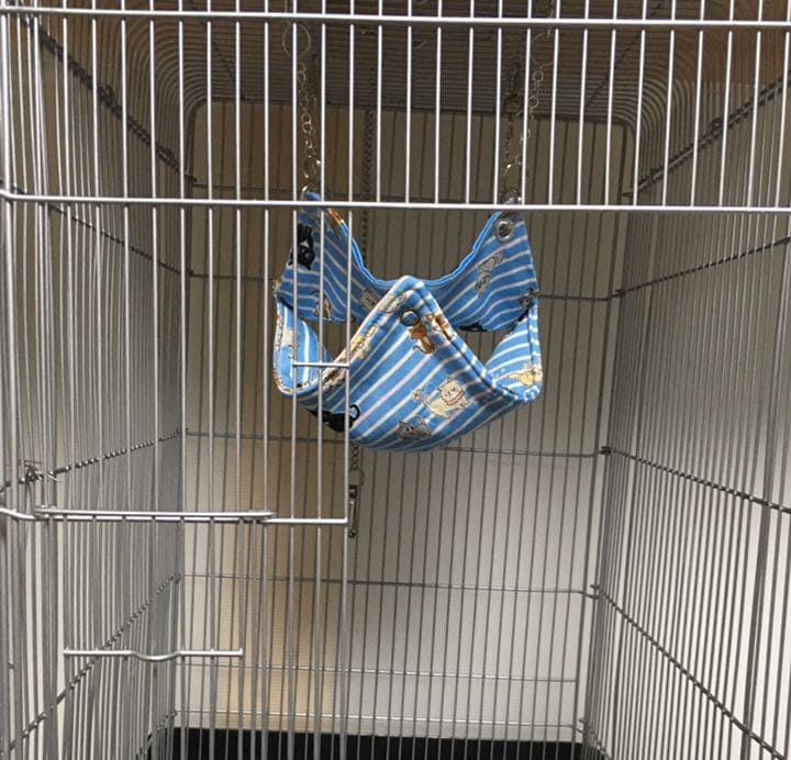 モモンガハウス(ハリネズミ柄Ver.3)   春秋(冬)仕様  厚め 1820円