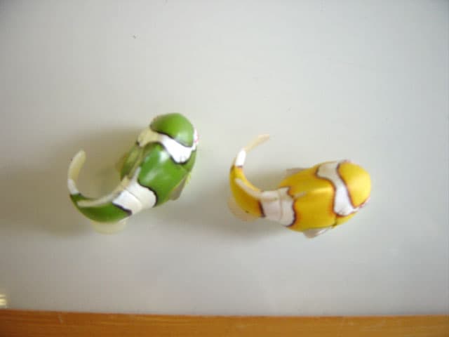 ♯Ivi06VZネイチャーMONOダンゴウオマグネットストラップ人気6種