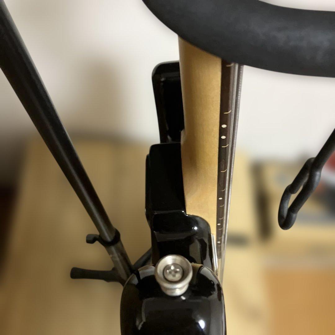 バッカス BJB-1R-FL 3TS フレットレスベース 音出ok 美中古品