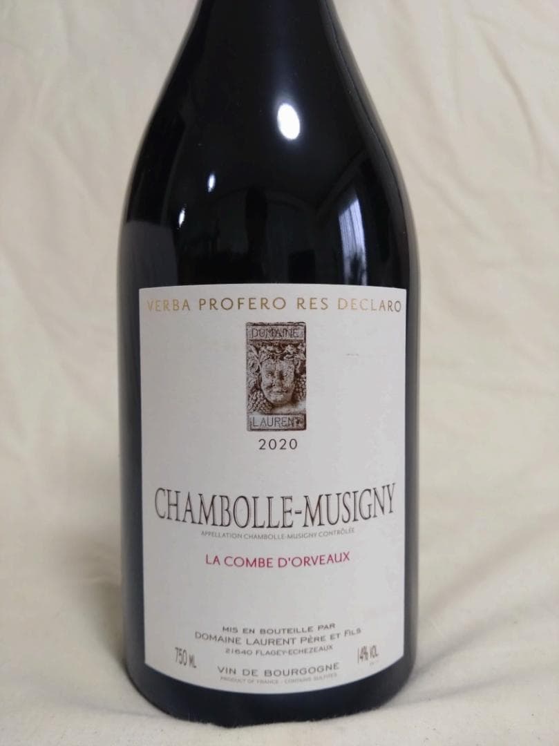 Nobuyuki Yamazaki　フーリエ17　ドミニクローラン20