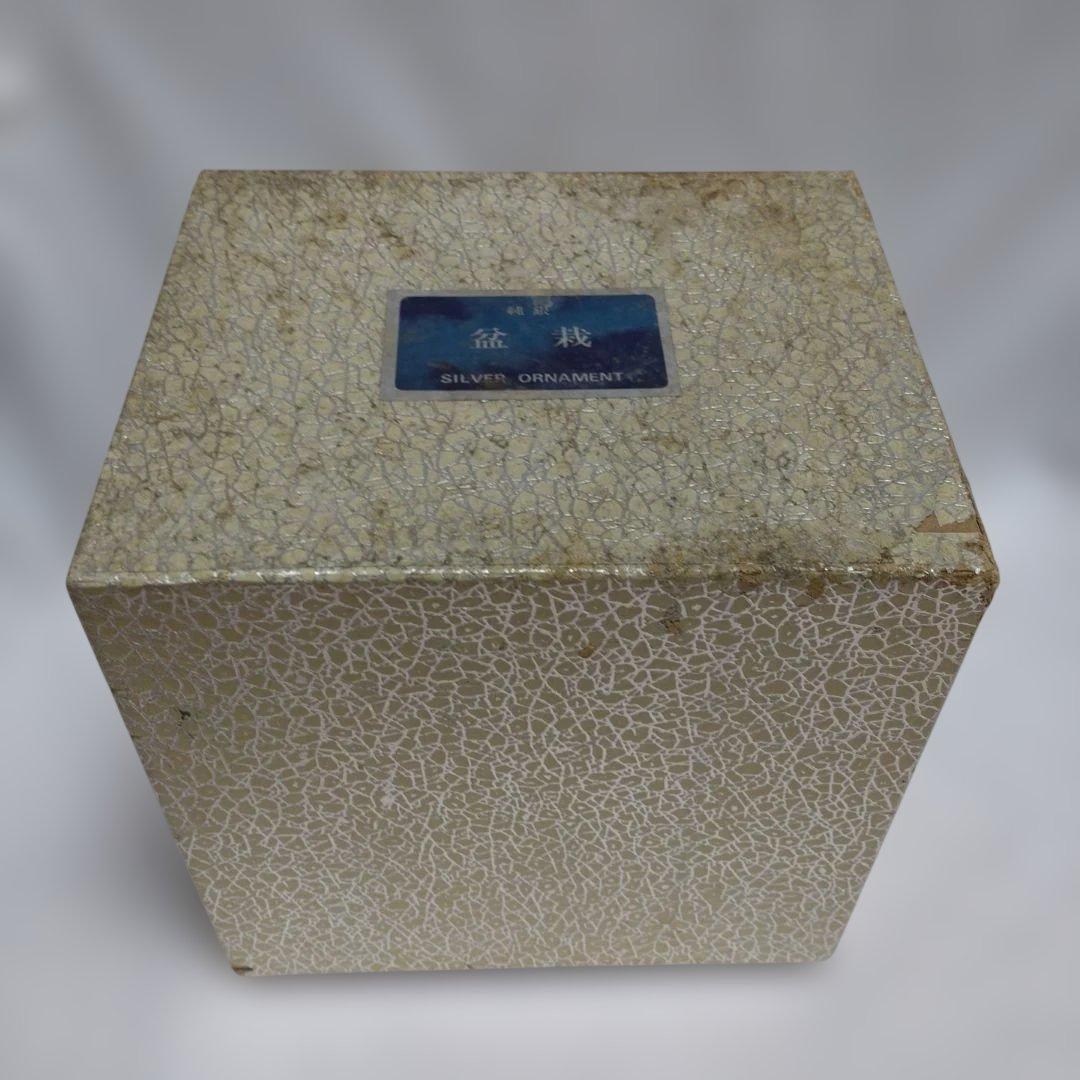 h*中様 純銀製 光則作 盆栽 2号「松」ガラスケース・紙箱付き