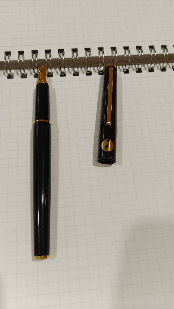 プラチナ　万年筆　国勢調査モデル　２本セット
