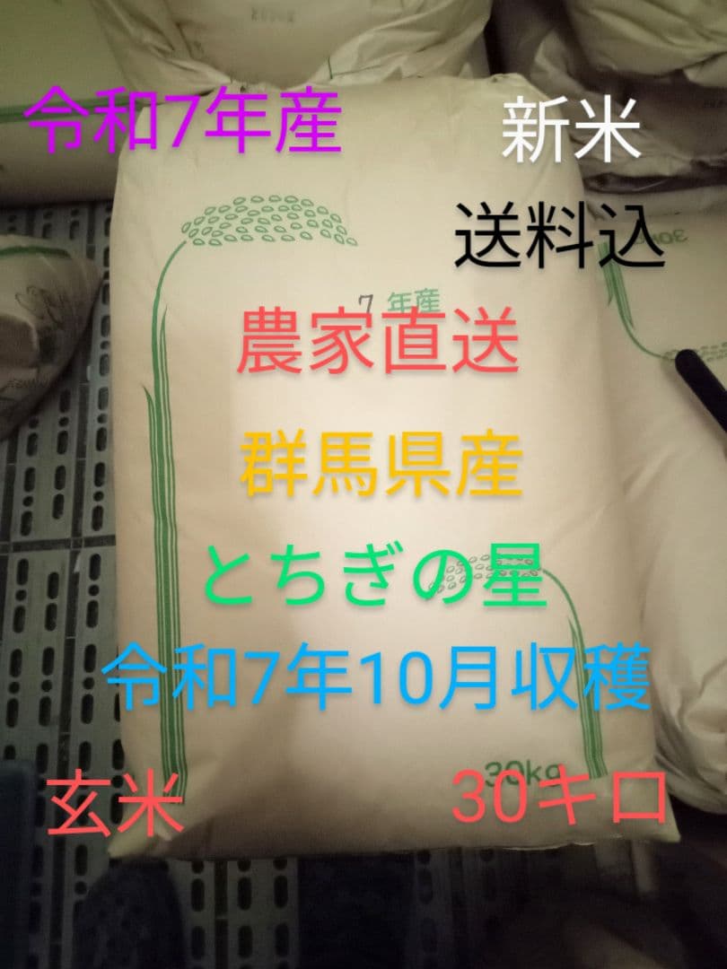 R7年産 新米 群馬県産 とちぎの星 30キロ 玄米 送料込 30kg ①