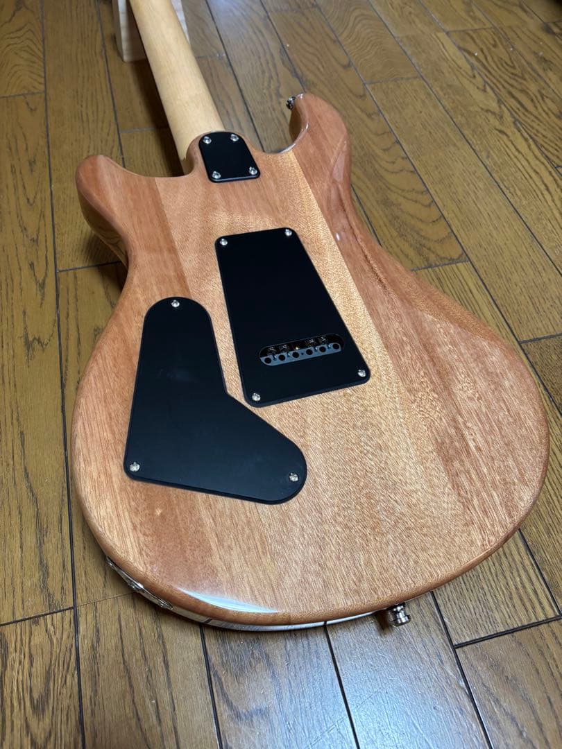 ギター PRS Paul Reed Smith SE CE