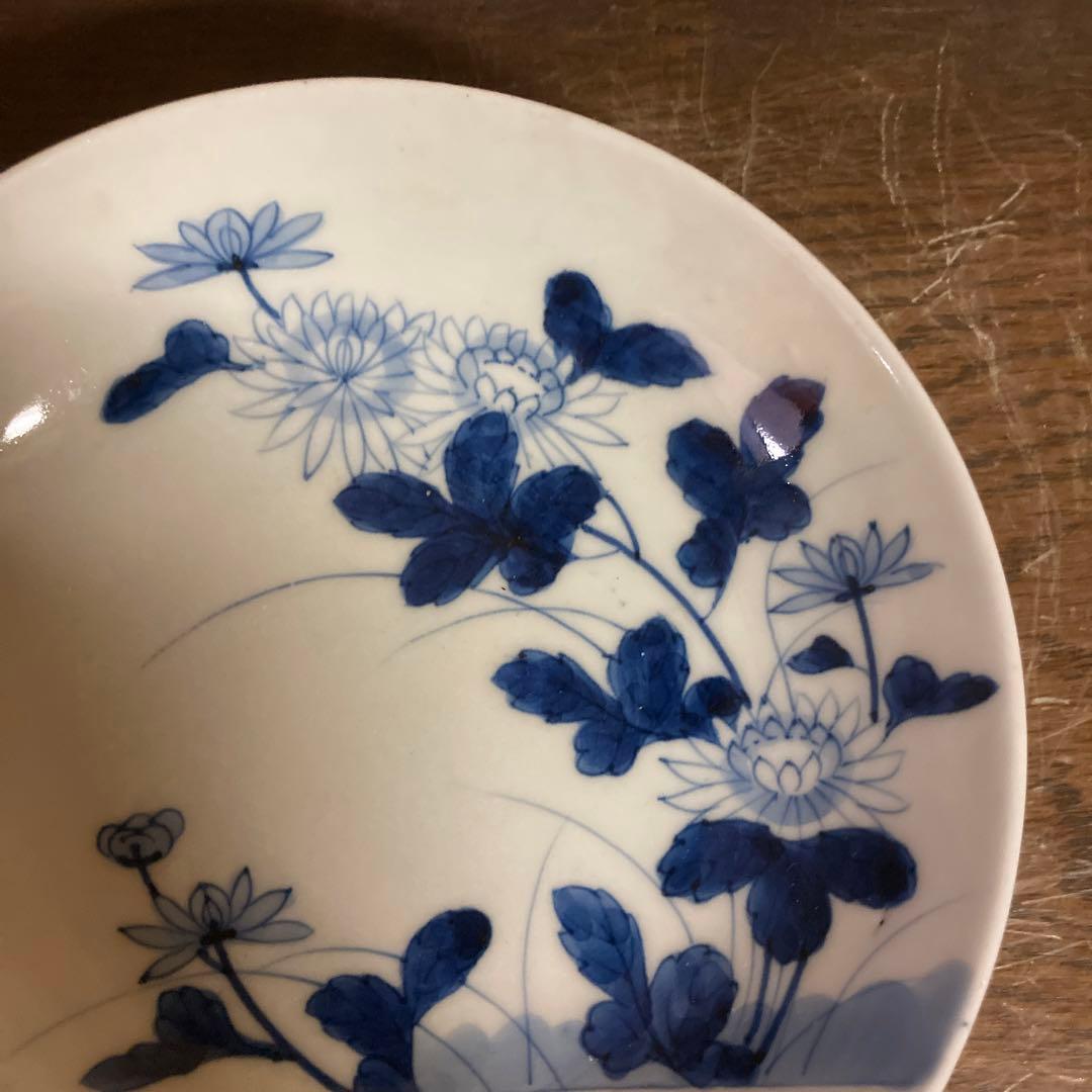 鍋島焼　古鍋島　染付　五寸皿　菊花七宝文　五客揃