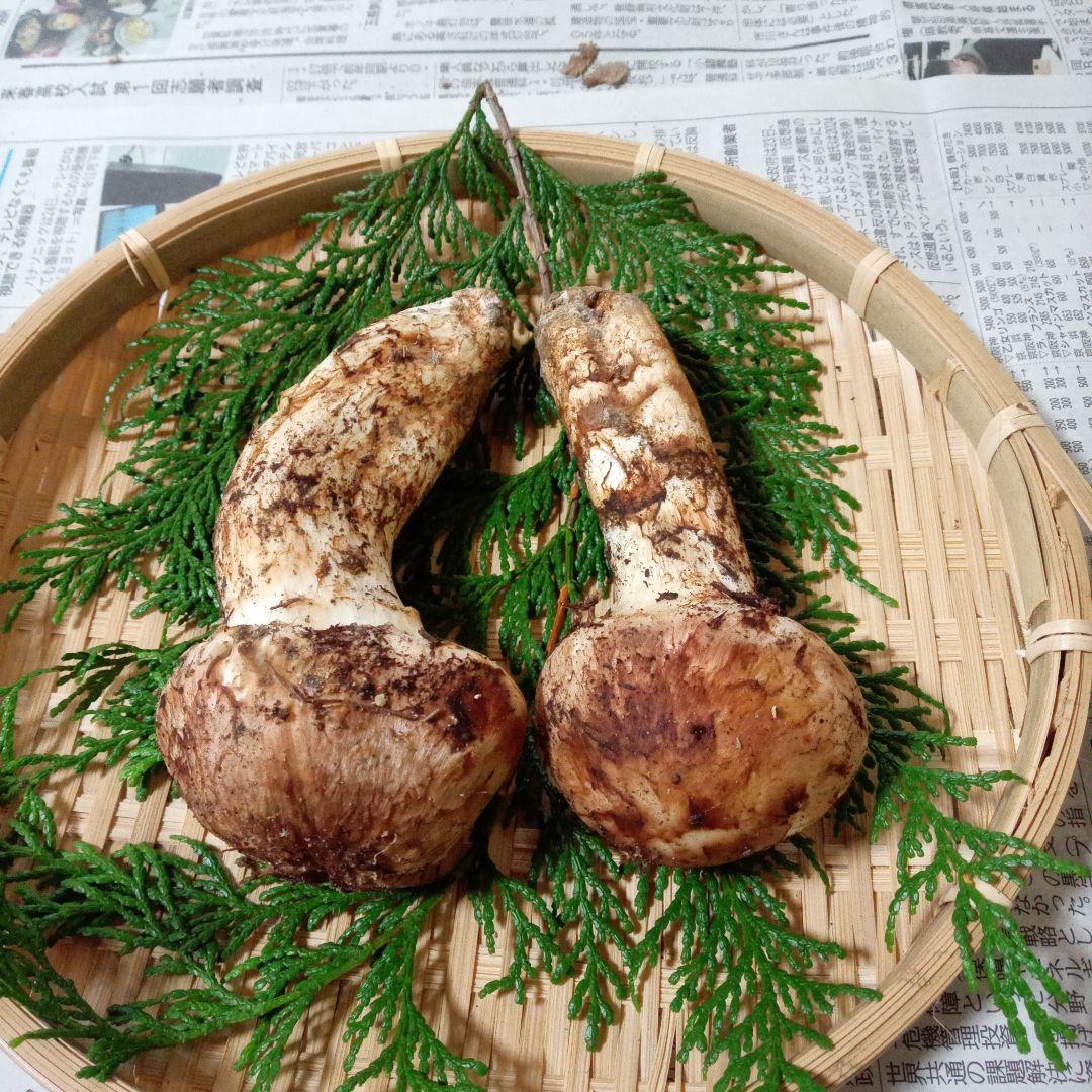 長野県産　松茸　136g　②