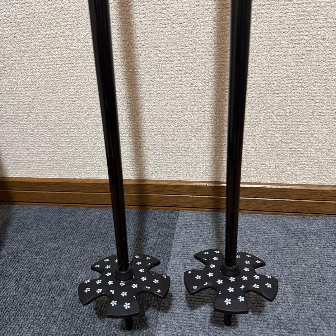 LINE SAKANA 174cm 程度良好　2024-2025 ポールおまけ付