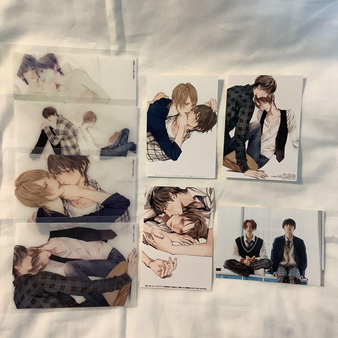 【美しい彼】トレーディングクリアカード TVドラマ化記念展 凪良ゆう 葛西リカコ