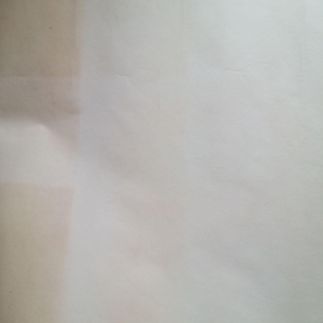 グレイトフルデッド　BOB WAIRポスター