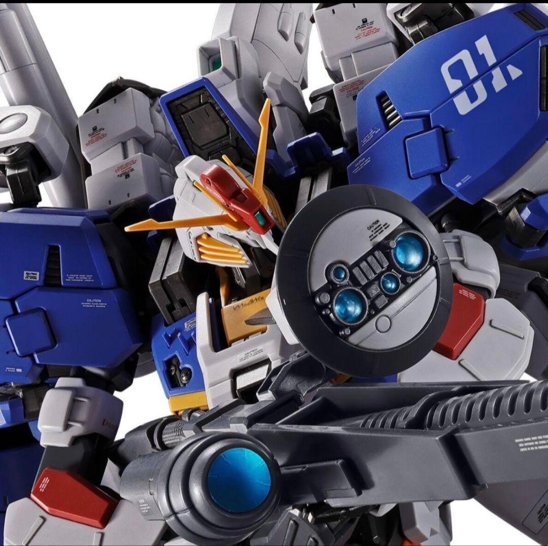 MG 1/100 2点セット 新品