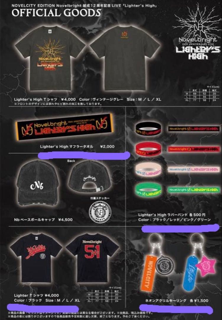 【新品】Novelbright★ライターズハイ★Tシャツ★タオル★ラバーバンド