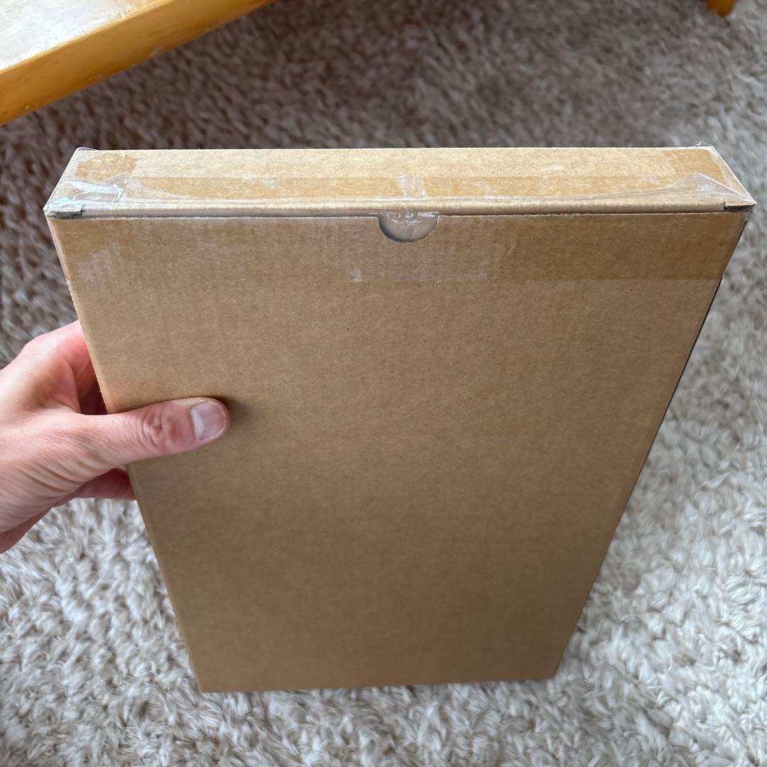 新品未開封‼️ポケモンスケールワールド　キャンペーン景品　イーブイ50個‼️