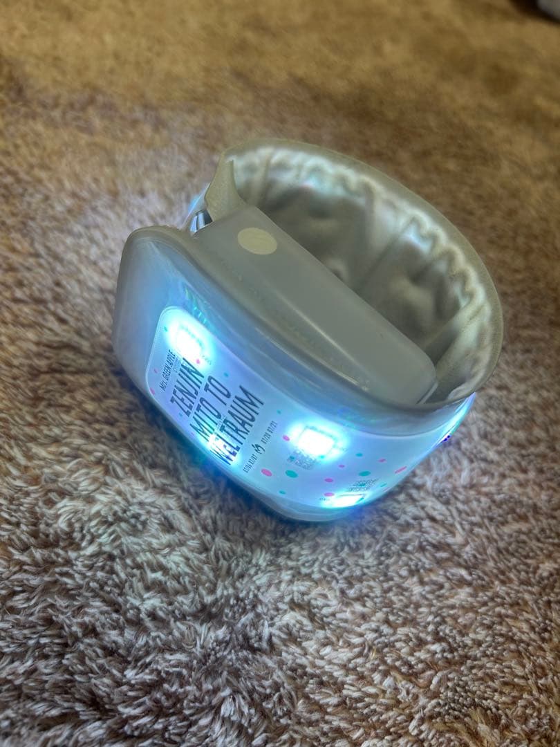 ゼンジン未到とヴェルトラウム〜銘銘編〜 ライトバンド