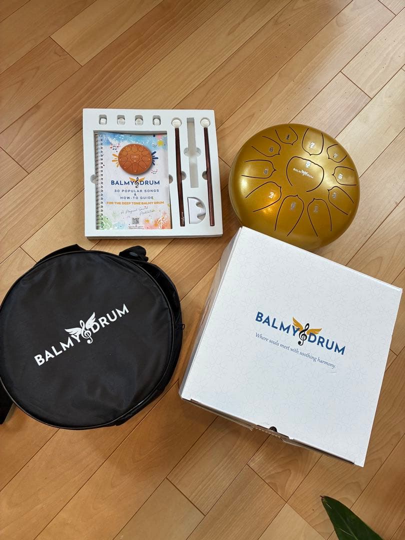 【値下げ】BALMYDRUM 11 Note 10インチ スチールドラム