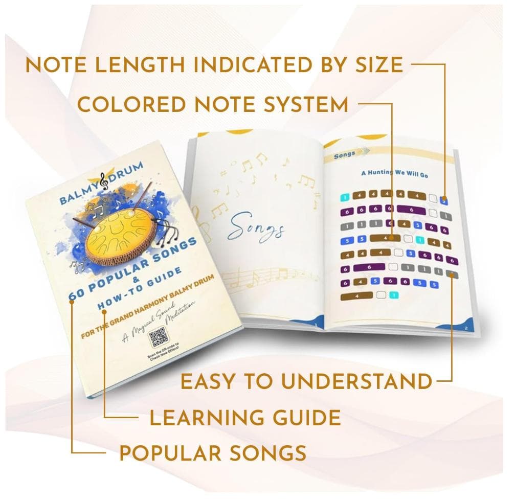 【値下げ】BALMYDRUM 11 Note 10インチ スチールドラム