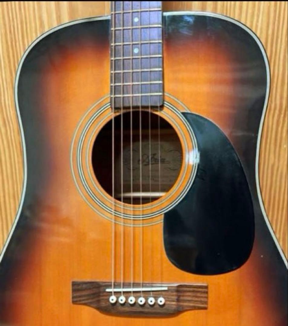 【エレアコ化】Aria ADW-200BS 低弦高 ライブ 録音